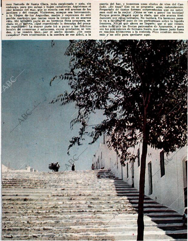 BLANCO Y NEGRO MADRID 28-08-1965 página 61