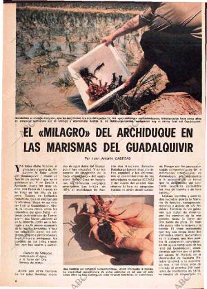 ABC MADRID 08-07-1979 página 118