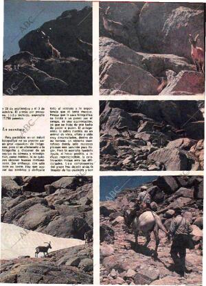 ABC MADRID 08-07-1979 página 131